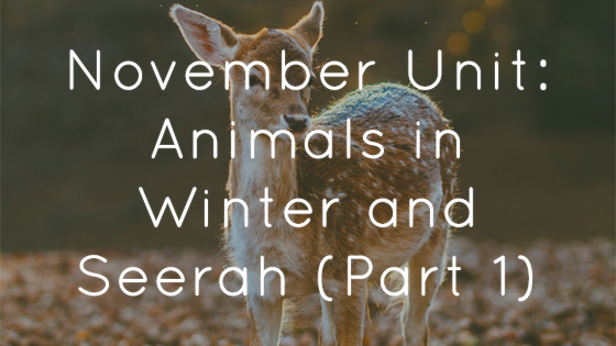 November Unit: Animals in Winter, Hibernation and Seerah  (Part 1)