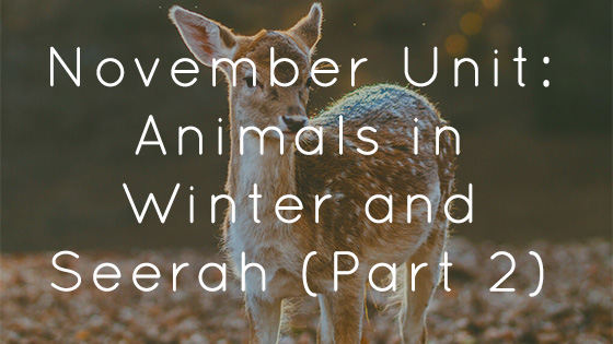 November Unit: Animals in Winter, Hibernation and Seerah (Part 2)