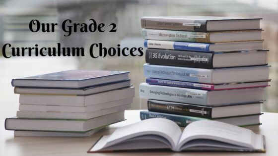 Our Grade 2 Curriculum Choices