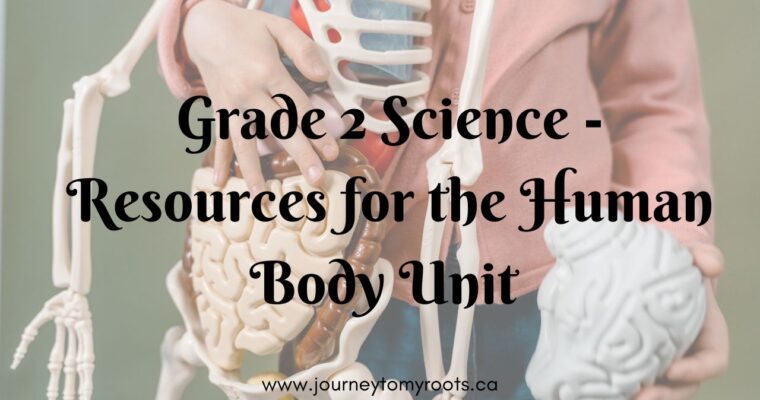 Grade 2 Science – Resources for the Human Body Unit